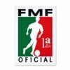 Parche microbordado FMF - Image 1